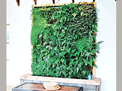 Faced with minimal floor space, use vertical garden like this design